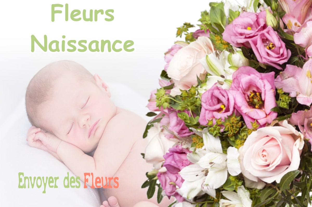 lIVRAISON FLEURS NAISSANCE à CABANAC-SEGUENVILLE